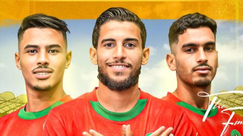 نهائي “الشان”.. الأسود يطاردون اللقب الثالث أمام مدغشقر