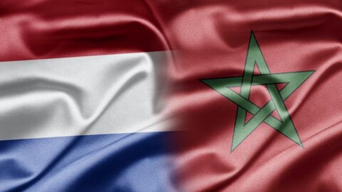 أسود الأطلس أمام اختبار هولندي.. صداقة خارج الملعب وصراع على بطاقة العبور