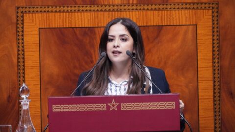 ريم شباط رئيسة للفريق الحركي بمجلس النواب