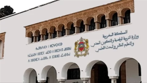وزارة التربية الوطنية.. مباراة توظيف 49 متصرف التربية الوطنية من الدرجة الأولى في عدة تخصصات