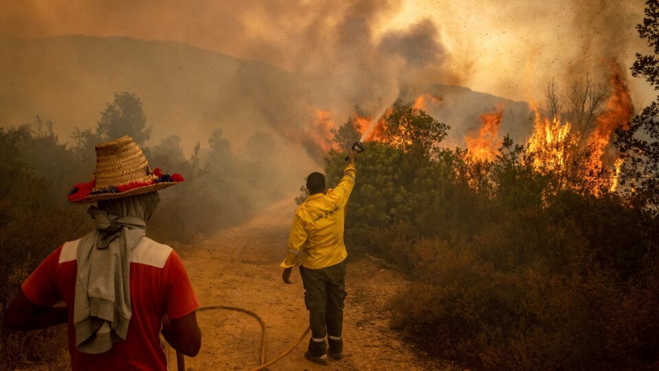 حرائق تازة: النيران تلتهم مصادر رزق ساكنة مغراوة