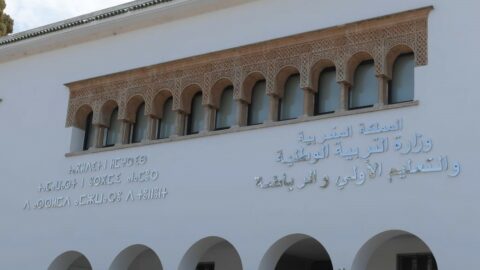 النظام الأساسي للتعليم يخرج المهنيين للاحتجاج ويقسم النقابات