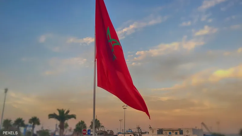 إلموندو: التفاعل الرسمي مع الزلزال تأخر كثيرا