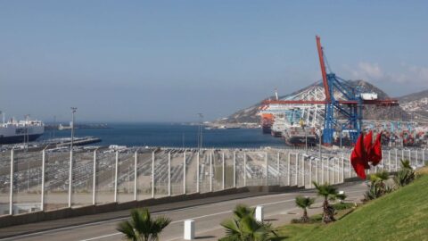 بسبب “بق الفراش”.. المغرب يفرض مراقبة مشددة على السفن الفرنسية
