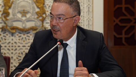 لقجع: إعادة تكوين القطيع الوطني تروم دعم المربين والتخفيف من تبعات الجفاف