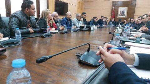الإدريسي: التنسيقيات تفتقد للتجربة والتفاوض يحتاج للواقعية