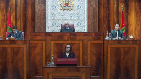 تصدير الأفوكادو وسط أزمة المياه يجر بركة والبواري للمساءلة