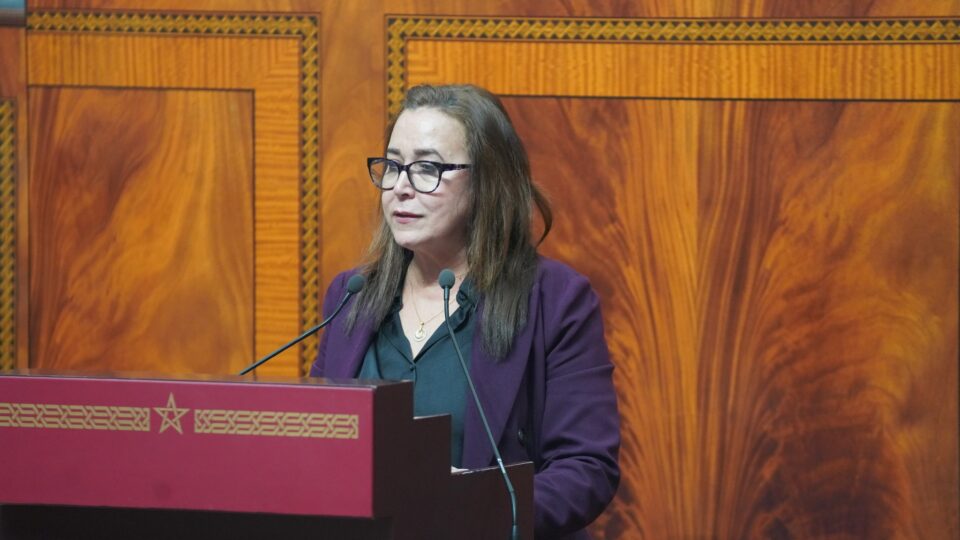 التامني تسائل بنموسى عن إنقاد الموسم الدراسي