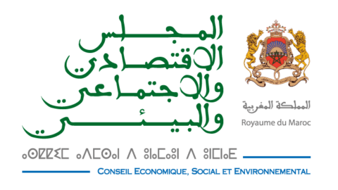المجلس الاقتصادي والاجتماعي يقترح اعتماد مفهوم “المطالب المهنية” لتمييزها عن “الملف المطلبي”