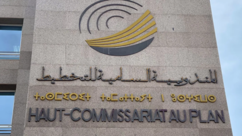 تفاصيل اختيار المشاركين في عملية الإحصاء لسنة 2024
