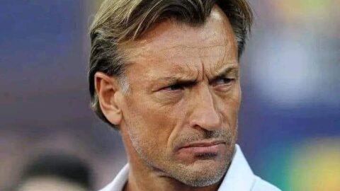 الإتحاد المصري يطلب ود هيرفي رونار