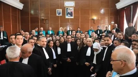 40 مليون لانخراط القضاة ورجال السلطة والأساتذة في المحاماة
