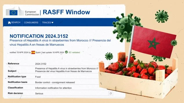 إنذار جديد من الاتحاد الأوربي يحذر من فراولة المغرب