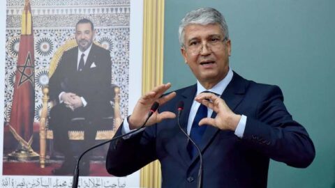 الصديقي: البحث في المجال الزراعي بإفريقيا لا زال متراجعا