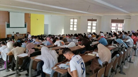 استطلاع: 83% من الشباب يعرفون على الأقل شخصا خارج منظومة الشغل والتكوين