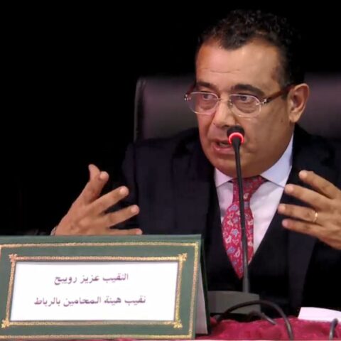 “انقلب على وعوده” في ملف المحاماة.. رويبح يتهم أخنوش بـ”التراجع” عن التزاماته