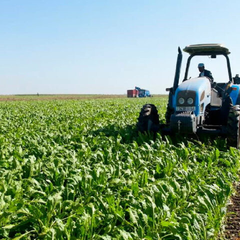 على غرار قطاع النقل.. الفلاحون يطالبون بإقرار “غازوال فلاحي” لمواجهة ارتفاع أسعار المحروقات