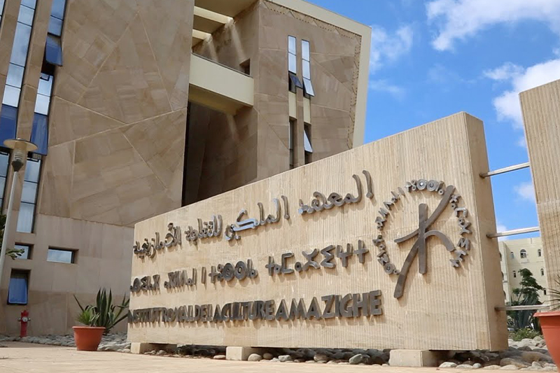 باب الترشح لجوائز الثقافة الأمازيغية مفتوح الآن
