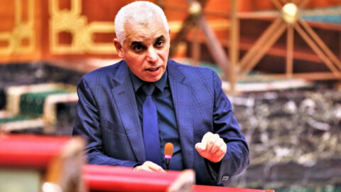 تزامنا مع الإضرابات.. آيت الطالب يؤكد أن ملف مهنيي الصحة ينتظر رأي أخنوش