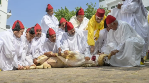 الملك يؤدي صلاة العيد وينحر الأضحية بتطوان