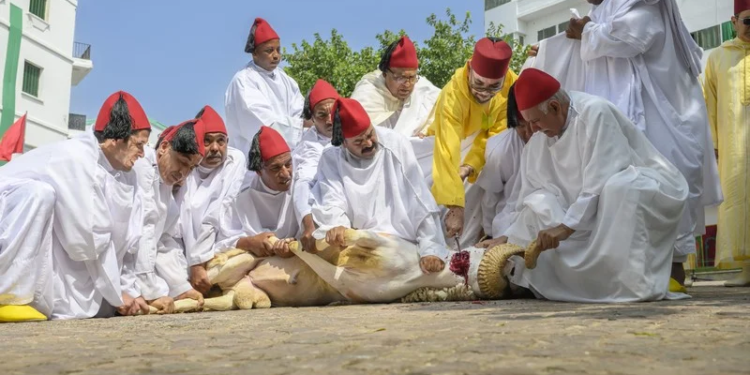 الملك يؤدي صلاة العيد وينحر الأضحية بتطوان