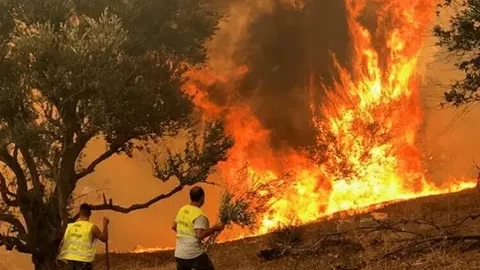 حريق بإقليم بركان يتلف 25 هكتارا من الغطاء الغابوي