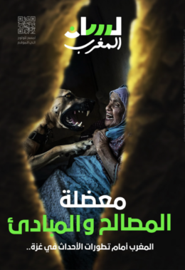 معضلة المصالح والمبادئ