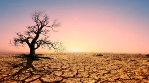 دراسة تكشف تدهور خطير في الأراضي الزراعية بالمنطقة العربية
