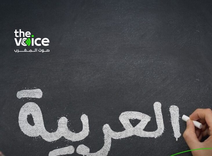 في يومها العالمي.. مدافعون عن اللغة العربية: تواجه حربا معلنة وغياب سياسة لغوية واضحة في المغرب يعمق أزمتها