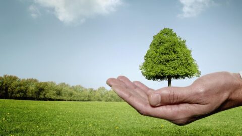 صندوق البيئة العالمي يدعم 20 بلدا ب 68 مليون دولار