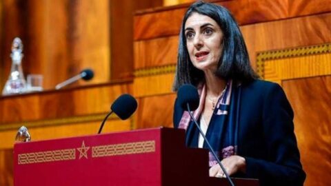 العلوي: ميزانية الحكومة لحماية القدرة الشرائية بلغت 105 مليار درهم