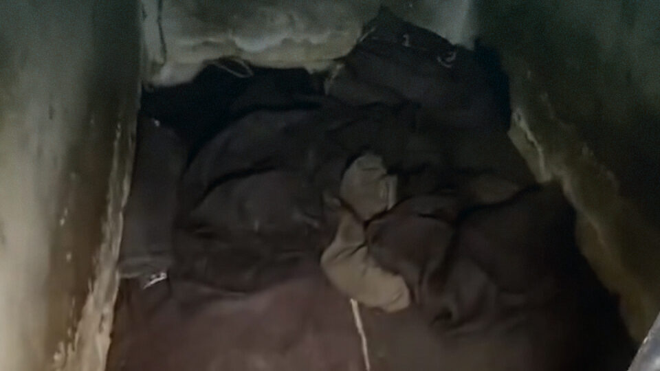 مشاهد صادمة من زنزانة انفرادية في سجن المزة بدمشق