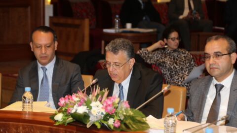 وهبي: الكم الهائل من الشكايات غير معقول.. ونوايا الجمعيات تثير الشكوك