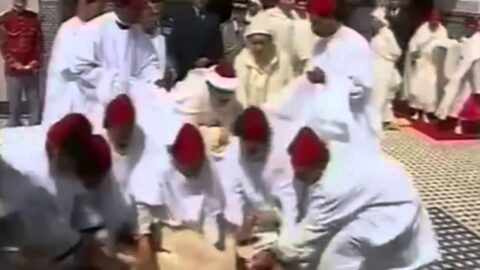 بين الحرب والأزمات.. تاريخ إلغاء شعيرة أضحية العيد في المغرب