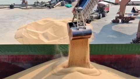 في ظل الجفاف.. المغرب يمدد دعم استيراد القمح حتى عام 2025