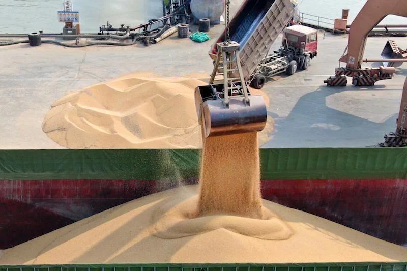 في ظل الجفاف.. المغرب يمدد دعم استيراد القمح حتى عام 2025