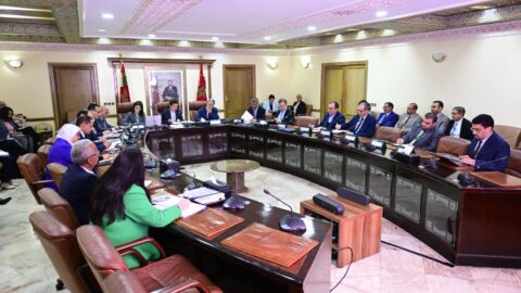 بنعلي: الهيدروكربورات والمعادن مفتاح السيادة الطاقية للمغرب