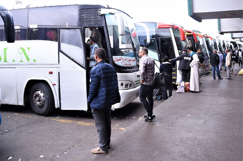 حماية المستهلك: المضاربات تلهب أسعار تذاكر النقل خلال العطل