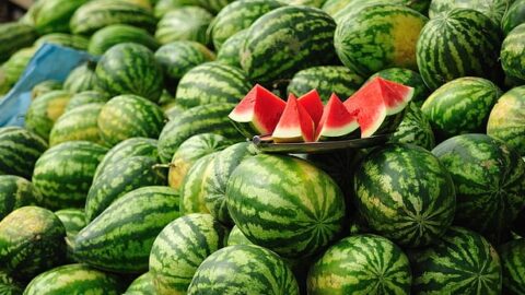 تقرير: أمطار مارس ترفع إنتاج البطيخ مقارنة بالموسم الماضي