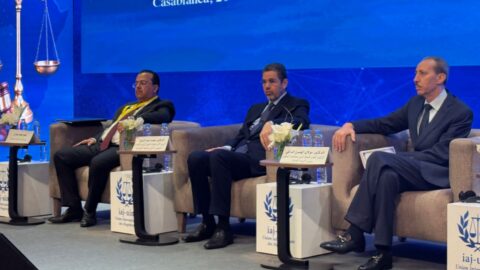 عبد النبوي: تأخر أنظمة العدالة الإفريقية عن ركب الرقمنة سيتركها متفرجة على الهامش
