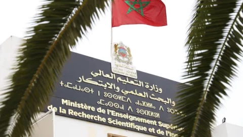 وزارة التعليم العالي تعتمد المعادلة التلقائية لشهادات الجامعات الفرنسية