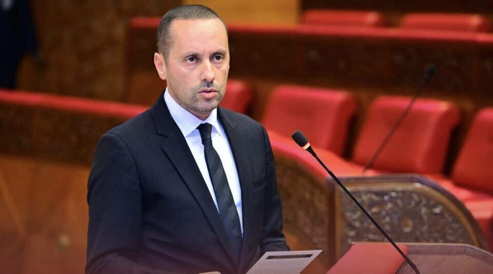 التهراوي: عدد أطباء الصحة النفسية بالمغرب يقارب 600 طبيب