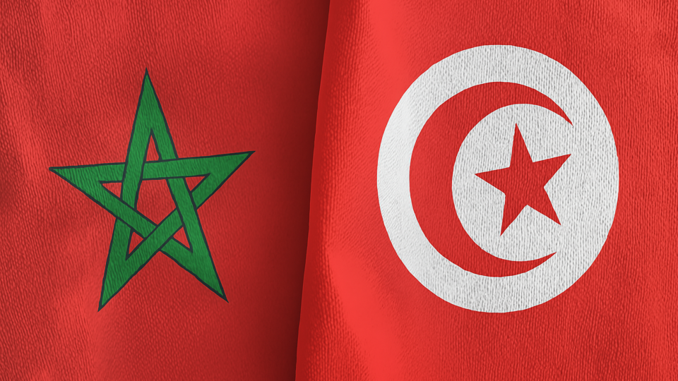 محلل: غياب التهنئة الملكية وتعيين حسن طارق.. مؤشرات على قطيعة دبلوماسية بين المغرب وتونس