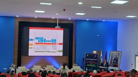 باحثون يدعون إلى الاستثمار في البحث العلمي لتحقيق التنمية