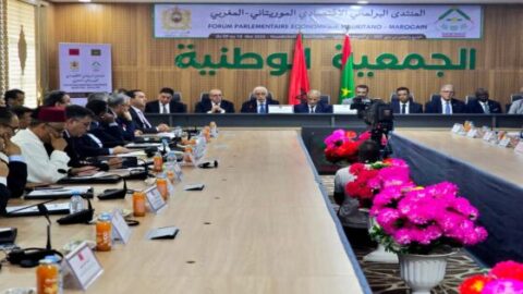 القطاعات التنموية الاستراتيجية مركز التعاون بين المغرب وموريتانيا