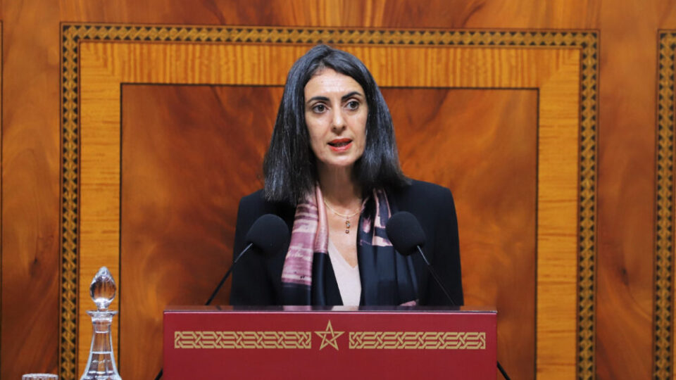 العلوي: الشركات العاملة في القطاع غير المهيكل آفة يجب محاربتها