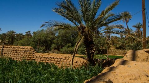 “ضعف الإمكانيات وتضييق الحريات”.. تقرير يرصد معوقات الترافع البيئي في المغرب
