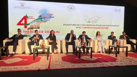 الطبوغرافيا تستعد للمونديال.. حين يستشرف الطلبة معالم التنمية
