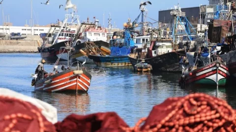 تراجع مفرغات الصيد بميناء الناظور