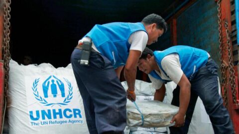 مفوضية شؤون اللاجئين تلغي 3500 وظيفة لنقص التمويل